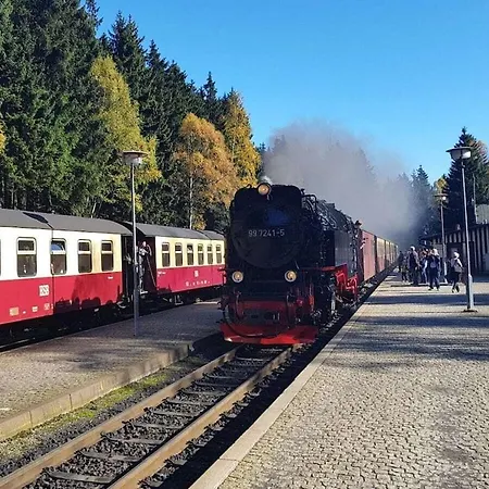 Bergwaldlodge Blickfang *