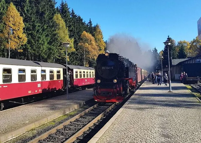 Bergwaldlodge Blickfang *